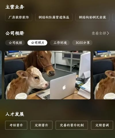 这张图是公司官网风格的截图，最有趣的是公司相册里的照片竟然是一头牛和一匹马正端坐在办公桌前，对着苹果笔记本电脑。桌上还放着咖啡杯，画面滑稽，强烈暗示“牛马打工人”这个网络梗，调侃在职场奔波劳作的普通人。图片内容有明显的类比和双关梗，“牛马”即指动物，也指自嘲为“牛马”的打工族群，讽刺职场众生相。