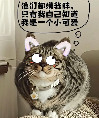 一只虎斑猫坐在室内环境中，它的耳朵被P上了粉色兔子耳朵，眼睛被夸张化成卡通风格的大眼睛，脸颊还有红晕。猫的上方有一个黑色边框的白色对话框，里面写着："他们都嫌我胖，只有我自己知道我是一个小可爱"。这张图片通过将真实猫咪照片与卡通元素结合，创造出一种幽默反差效果。