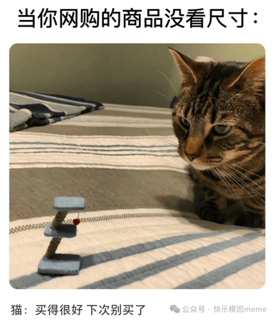 图片展示了一只虎斑猫趴在条纹床单上，表情严肃地注视着面前一个迷你蓝色猫抓板。图片上方配有文字“当你网购的商品没看尺寸：”，下方则以猫咪的口吻添加对白“买得很好 下次别买了”。通过猫咪与过小商品的对比，幽默地呈现了网购时因未注意尺寸而导致商品与预期不符的尴尬场景，引发共鸣和笑点。