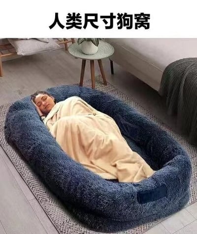图中展示了一位真人舒适地躺在一个超大号的蓝色毛绒狗窝里，身上盖着米色毯子，场景位于一个温馨的室内环境，旁边有小桌子和绿植点缀。图片上方配有文字“人类尺寸狗窝”，通过将宠物用的狗床按人类尺寸放大，幽默地展现了人类对宠物舒适用品的向往，营造出一种轻松搞笑的氛围。
