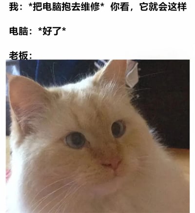 这是一张图文混排的搞笑梗图，上方文字构建了一个生活场景：“我”把故障电脑抱去维修并向老板展示问题，结果电脑突然“自愈”说“好了”，最后“老板：”的文字下方是一张特写的白猫照片，猫咪瞪着圆溜溜的眼睛，表情看起来十分困惑，完美呼应了维修店老板面对这种“一到店就好”的神秘现象时的懵逼反应。