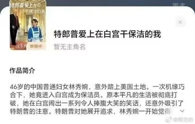 这是一张脑洞网文的平台界面截图，展示了一本设定夸张离谱的网文信息：标题为《特朗普爱上在白宫干保洁的我》，主角是46岁的中国普通妇女林秀婉，她意外赴美并进入白宫担任保洁员，在白宫闹出一系列笑话后吸引了特朗普的注意并被其追求。这种身份反差极大的爽文设定充满搞笑效果，常被网友用来调侃网文圈越来越放飞的脑洞创作。
