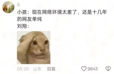 这是一张社交媒体平台的用户评论截图，内容为有网友发言称“现在网络环境太差了，还是十几年的网友单纯”，紧接着写下“刘翔：”并搭配一张抬手摸头、神情呆滞无奈的猫咪表情包，借此玩梗讽刺“十几年前网友单纯”的认知错误——刘翔曾在奥运退赛时遭到大规模的网络暴力，是早年网络环境恶劣的代表性事件之一，该梗用刘翔的“反应”凸显该言论的荒谬。这条评论发布IP属地为山东，收获9843个点赞。