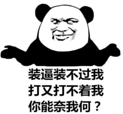 熊猫头嘲讽表情包：装逼打不着系列