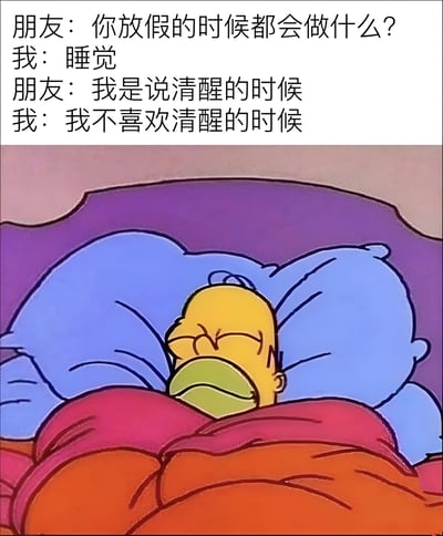 图片上半部分是一段朋友间的对话：朋友问“你放假的时候都会做什么？”，回答“睡觉”；朋友进一步追问“我是说清醒的时候”，则得到“我不喜欢清醒的时候”的幽默回复。下半部分是《辛普森一家》中的角色荷马·辛普森躺在床上睡觉的卡通画面，他头枕蓝色枕头，盖着橙红色被子，眼睛紧闭，嘴巴被被子遮住，表情显得十分舒适慵懒。整体通过对话与画面的结合，幽默地表达了人们假期想通过睡觉逃避清醒时刻的慵懒心态，引发共鸣。
