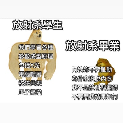 图片左侧是肌肉发达的Doge狗形象，上方标注“放射系學生”，旁边文字列出学习内容：“我們學習各種影像成型原理包括X光電腦斷層核磁共振正子掃描”，展现学生时期掌握的专业知识；右侧是体型瘦小、表情沮丧的Doge狗形象，上方标注“放射系畢業”，旁边文字描述工作场景：“阿姨妳不要亂動為什麼沒脫內衣我不是放射科醫師不要問我結果如何”。通过左右对比，幽默呈现放射系学生从理论学习到实际工作的反差，带有自嘲和无奈的搞笑效果。