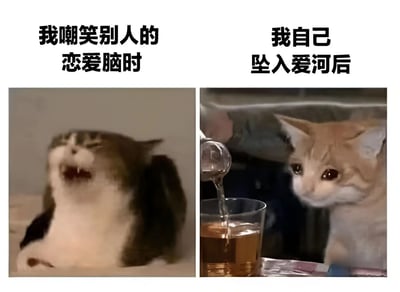 这是一张左右对比的猫咪梗图。左侧图片中，一只灰白相间的猫咪张大嘴巴，露出牙齿，表情夸张，上方配有文字“我嘲笑别人的恋爱脑时”，仿佛在毫不留情地嘲讽他人恋爱时的不理智；右侧图片里，一只橘白相间的猫咪眼神专注地看着正在往杯子里倒液体的场景，表情乖巧温顺，上方文字为“我自己坠入爱河后”，形成鲜明反差，幽默地展现了人们从嘲笑别人恋爱脑到自己深陷其中的转变。