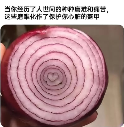 图片上方配有文字“当你经历了人世间的种种磨难和痛苦，这些磨难化作了保护你心脏的盔甲”，下方是一张红色洋葱的横截面特写。洋葱的同心圆环结构清晰可见，其中心自然形成了一个类似心形的图案，通过洋葱层层包裹的形态，巧妙比喻生活磨难如同盔甲般保护内心。