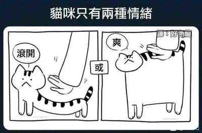暂无描述
