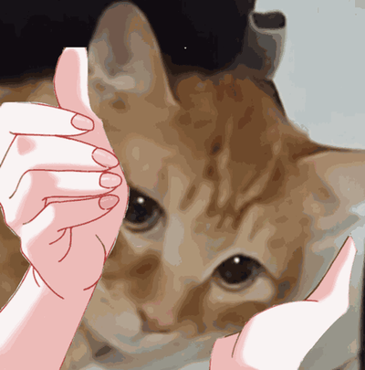 这是一个动态GIF图，画面中一只真实的橘猫露出疑惑的神情，两只卡通风格的手在它前方做出类似比框的动作，仿佛要“拿捏”这只橘猫，整体风格诙谐有趣，适合用来表达疑惑、被拿捏或是不知所措的情绪。