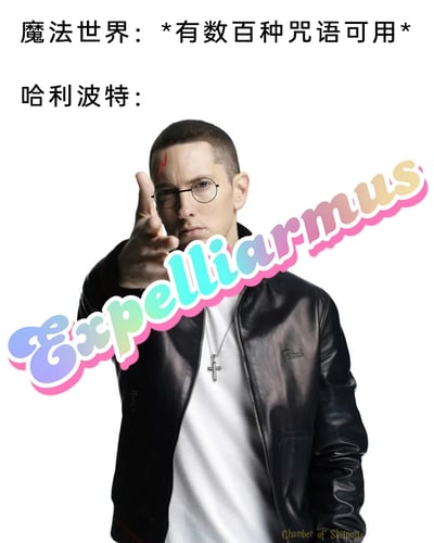 这是一张结合名人形象与影视梗的搞笑P图，将美国知名说唱歌手埃米纳姆的照片进行二次创作，给他添加上《哈利·波特》主角哈利波特标志性的闪电形伤疤和圆框眼镜，模仿哈利波特的形象。图中上方配有文字“魔法世界：*有数百种咒语可用*”，下方对应标注“哈利波特：”，并搭配彩色渐变的艺术字“Expelliarmus（除你武器）”，玩的是《哈利·波特》系列中哈利波特在各类战斗场景中频繁使用“除你武器”这一咒语的经典梗，将埃米纳姆的硬核说唱风格与哈利波特的“咒语依赖”结合，形成强烈的反差搞笑效果，图片右下角带有制作方“Chamber of Shitposts”的水印。