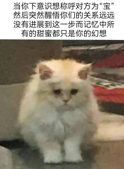 这张图片上方有一段文字：“当你下意识想称呼对方为‘宝’然后突然醒悟你们的关系远远没有进展到这一步而记忆中所有的甜蜜都只是你的幻想”。下方是一只白色的长毛猫，它坐在沙发上，眼神低垂，表情看起来有些失望和落寞，完美呼应了文字所描述的情感状态。
