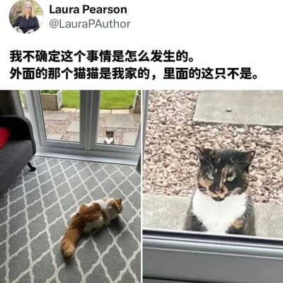 这是一张社交媒体截图，用户Laura Pearson分享了两张猫咪照片并配文“我不确定这个事情是怎么发生的。外面的那个猫猫是我家的，里面的这只不是。”左侧照片显示一只橘白相间的猫趴在室内地毯上，玻璃门外有另一只猫；右侧照片是门外那只玳瑁色猫咪透过玻璃凝视室内的特写，形成有趣的对比和困惑场景。