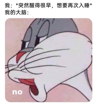 这是一张精准吐槽睡眠困扰的网络梗图，上方文字设定场景：“我：*突然醒得很早，想要再次入睡*”，下方搭配美国经典动画《乐一通》里兔八哥的改编截图，兔八哥面部扭曲变形，嘴巴大张，呈现出强烈的抗拒神态，左下角的文字“no”则直接代表大脑的回应，生动还原了很多人都经历过的早醒后想补觉，却大脑异常清醒、无法再次入眠的无奈又崩溃的日常体验，容易引发有相同经历的用户共鸣。