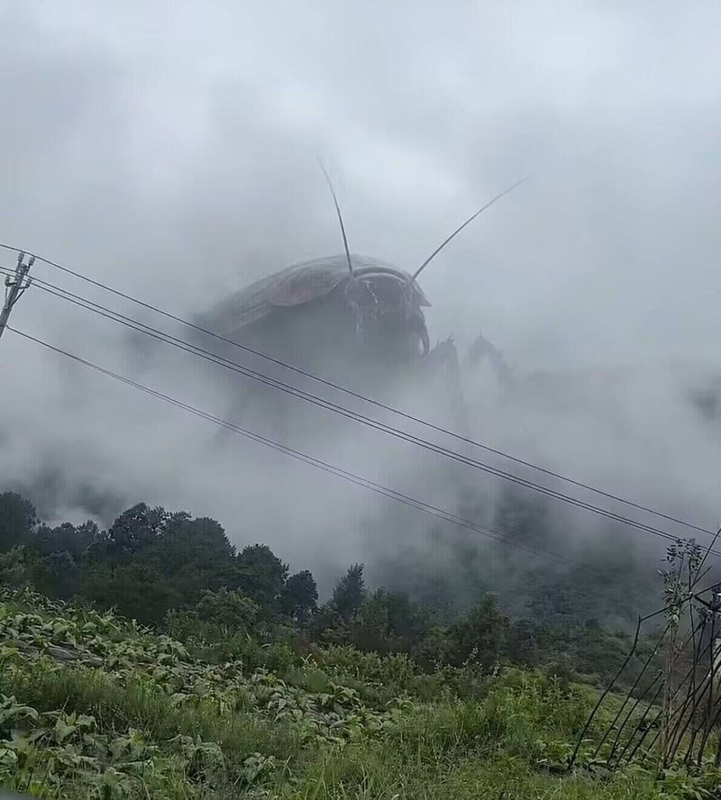 网友原创P图