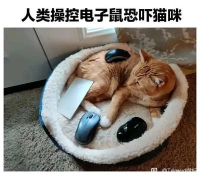 这是一张文字加注的静态原始拍摄图，图中一只橘色猫咪蜷缩在带有毛绒边缘的猫窝里，神情略显不安地侧头看向一旁，猫窝内还放置了三个电脑鼠标以及一个白色的类似鼠标的物件。图片上方配有文字“人类操控电子鼠恐吓猫咪”，这里运用了谐音梗，将电脑鼠标谐音成“电子鼠”，利用猫咪天生对老鼠的敏感特性，用日常的电脑鼠标制造出“恐吓”猫咪的趣味场景，充满了搞笑的日常氛围。