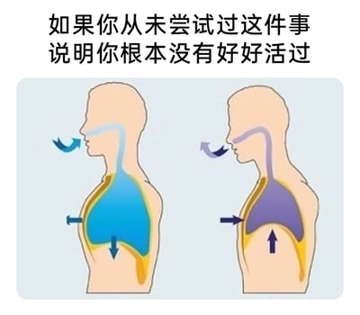 这是一张图文混排的左右对比静态梗图，上方配有醒目的夸张文字“如果你从未尝试过这件事 说明你根本没有好好活过”，下方左侧是人体吸气的生理示意图：肺部呈蓝色扩张状态，膈肌向下，空气从口鼻进入体内，胸部向外扩张；右侧是人体呼气的生理示意图：肺部呈紫色收缩状态，膈肌向上，气体从口鼻排出，胸部向内收缩。图片用夸张的文案来指代日常的深呼吸动作，将基础的生理知识包装成搞笑梗图，让严肃的科普内容变得轻松有趣。
