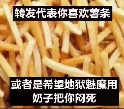 这是一张搞笑趣味玩梗图，背景为大量堆叠在一起的金黄色炸薯条，图片上下各设置了一块黑底白字的文字区域，上方文字为“转发代表你喜欢薯条”，下方文字为“或者是希望地狱魅魔用奶子把你闷死”，给转发设置了两个风格截然不同的选项，属于整活搞笑内容，符合网络趣味转发图的特点。