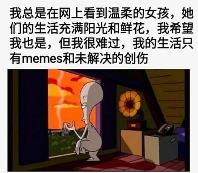 图片上方为文字内容：'我总是在网上看到温柔的女孩，她们的生活充满阳光和鲜花，我希望我也是，但我很难过，我的生活只有memes和未解决的创伤'，表达了对网络上理想化生活的羡慕与自身现实生活状态的对比。下方是卡通动画《Rocko's Modern Life》中的角色Rocko，他蹲在阁楼房间的窗边，神情悲伤地望向窗外的日落景象。房间内有老式留声机和电话等物品，整体氛围忧郁，与上方文字的情绪相呼应，形成一种自嘲式的幽默与无奈。