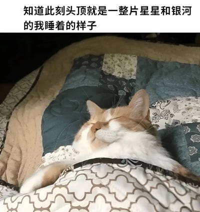 一张猫咪睡觉的照片，上方配有文字'知道此刻头顶就是一整片星星和银河的我睡着的样子'。照片中一只橘白相间的猫正安详地睡在拼布被子上，表情十分满足。图片通过将猫咪的舒适睡姿与仰望星空的浪漫想象相结合，创造出一种幽默的对比效果，暗示即使在普通环境中也能拥有美好的内心体验。