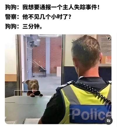 一只棕色的狗趴在警察局的柜台前，前爪搭在柜台上，吐着舌头，似乎在和柜台后的警察对话。图片上方配有幽默对话文字，狗狗称要通报主人失踪事件，当警察问失踪多久时，狗狗回答"三分钟"。这种夸张的时间对比制造了搞笑效果，展现了宠物对主人短暂离开的夸张反应。