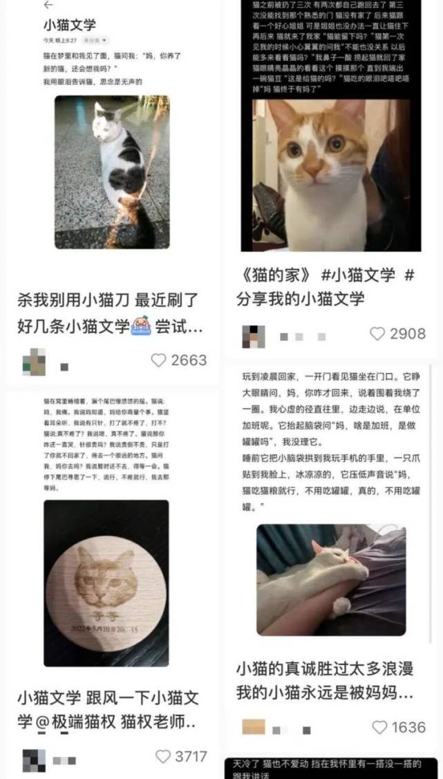 用户原创小猫文学《猫的家》