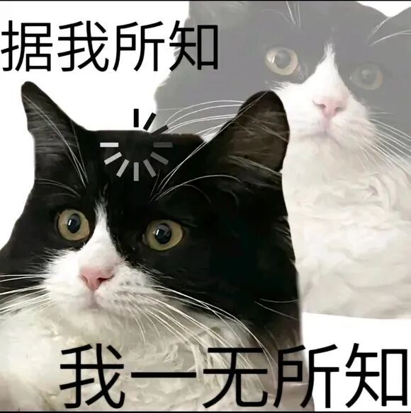 Internet meme