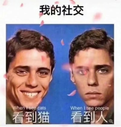 暂无描述