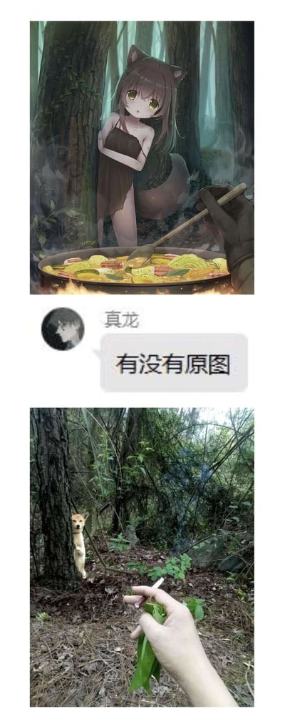 这是一组由三部分组成的连环梗图：上方是AI生成的二次元兽耳娘形象，她穿着简陋的破布衣物，倚靠在树林的树干上，双臂抱胸，眼神紧盯面前锅中的食物，嘴角流着口水，神态显得十分嘴馋；中间是一段社交媒体聊天截图，用户“真龙”发送消息询问“有没有原图”；下方是对应的现实版“原图”，一只柴犬扒着树干，露出和上方兽耳娘相似的姿态，前景的手拿着类似勺子的物品，对应上方的锅勺，形成了二次元幻想形象与三次元真实场景的搞笑反差，玩了“原图”的谐音与场景对应梗，制造出荒诞幽默的效果。