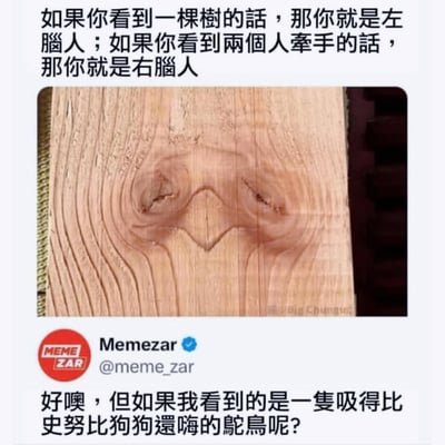 这是一张以木头上的木纹为主的梗图。画面上方配字：如果你看到一棵树，那你是左脑人；看到两个人牵手是右脑人。实际木纹构成既像树，又像人手拉手，还能脑补成一只‘很嗨的鹦鹉’。下方Memezar用调侃话语问：如果我看见的是一只吸得比史努比狗狗还嗨的鹦鹉呢？这将视觉误差梗与心理画面联想到极致，非常有网感。表现出网友们脑洞大开、幽默自黑的风格。
图片暗含多重意义和脑洞测试（二向箔式解读）。也有一点双关，属于典型“视错觉+网友整活”。