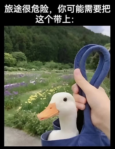 图片上方配有文字“旅途很危险，你可能需要把这个带上：”，下方是一只手握着一个蓝色的袋子，袋子里露出一只白色的鸭子玩偶的头，玩偶有着橙色的喙和黑色的眼睛，表情平静。背景是绿意盎然的山林和盛开的黄色、紫色野花，整体营造出一种幽默轻松的氛围，通过可爱的鸭子玩偶调侃“危险旅途必备”的概念，没有双关或谐音梗。