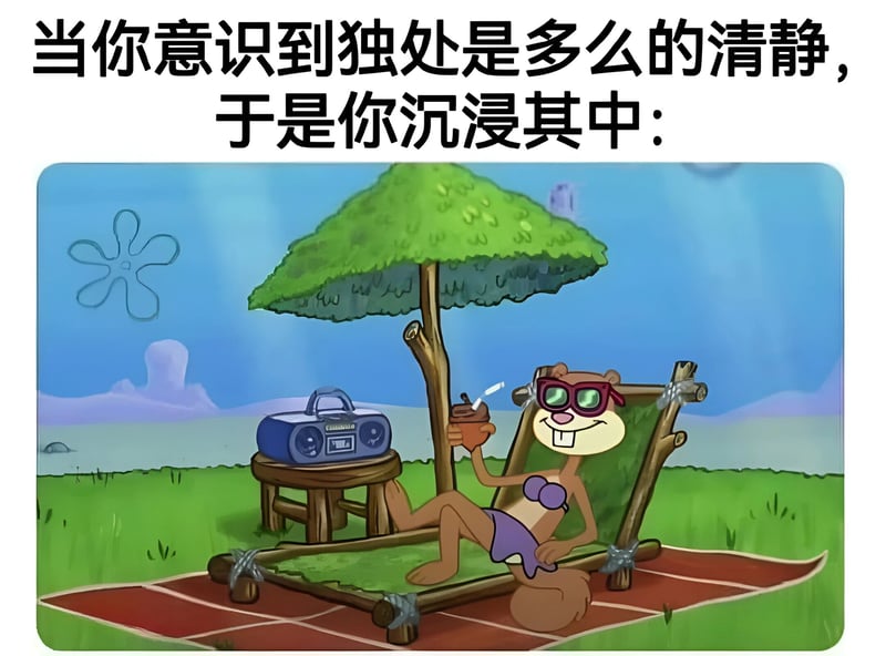 珊迪·奇克斯