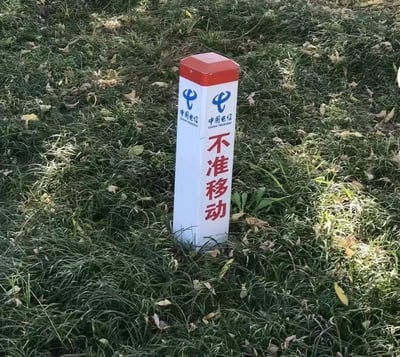 这张图拍摄了立在户外草地上的中国电信线路标识桩，标识桩主体为白色、顶部为红色，桩体两个面都印有中国电信的蓝色品牌logo和名称，其中一个侧面用醒目的红色大字标注了“不准移动”四个字，由于中国电信的竞品运营商是中国移动，这句原本用来警示不要移动标识桩的标语刚好形成了玩梗效果，十分有趣搞笑。