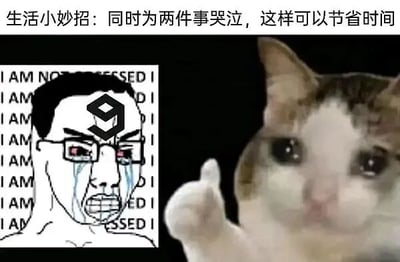 图片上方配有文字'生活小妙招：同时为两件事哭泣，这样可以节省时间'，采用幽默反讽的语气。左侧是一个卡通人物形象，额头有数字'9'，背景重复'I AM NOT PRESSED'文字，人物双眼流泪，嘴巴大张，表情极度崩溃；右侧是一只真实猫咪，平静地竖起右前爪作点赞状。整体通过左右对比，用'生活小妙招'的形式调侃同时为多件事烦恼的无奈，达到搞笑效果。
