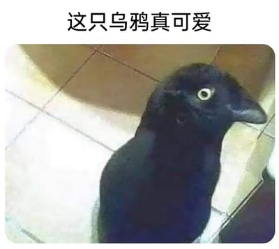 这是一张利用视觉错位打造的趣味梗图，图中并非真正的乌鸦，而是一个穿着黑色衣物的人低头时，头部与身体的角度、黑色衣物和瓷砖背景共同形成了酷似乌鸦的视觉效果。图片上方配文“这只乌鸦真可爱”，进一步强化了这个错觉的趣味性，让观看者第一眼会误以为是乌鸦，反应过来后会感受到错位带来的反差笑点。