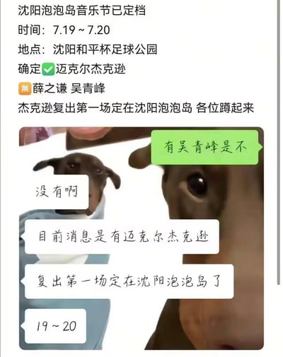 这是一张网友自制的搞笑内容图，上方是网传的沈阳泡泡岛音乐节信息：定档7月19日-20日，地点在沈阳和平杯足球公园，还标注“确定迈克尔杰克逊”，称其复出第一场定在此处，同时提到薛之谦、吴青峰；下方是结合了疑惑小狗表情包的聊天记录对话，一方询问“有吴青峰是不”，另一方回复没有，反复强调迈克尔杰克逊复出首秀在该音乐节。由于迈克尔·杰克逊早已去世，这条“复出消息”是明显的离谱玩笑，用狗狗表情包搭配对话，放大了假消息的荒诞感，制造搞笑效果。