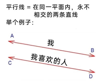 图片上方是平行线的定义：'平行线 = 在同一平面内，永不相交的两条直线'，下方标注'举个例子：'。图中有两条红色的平行直线，上方直线中间标注'我'，左端点为A，右端点为B；下方直线中间标注'我喜欢的人'，左端点为C，右端点为D。通过数学概念幽默比喻自己与喜欢的人就像平行线一样，永远不会相交，表达了单恋中的无奈与自嘲情绪。