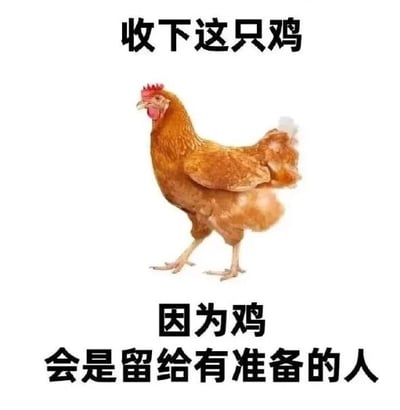 这是一张顶配底文的静态单图，属于图文混排形式。图片上方是黑色文字“收下这只鸡”，中间是一只呈行走站立姿态、神态自然的棕色母鸡，下方是黑色文字“因为鸡会是留给有准备的人”。这张图运用了谐音梗，将经典励志名言“机会是留给有准备的人”中的“机会”替换为“鸡会”，结合图中的母鸡形成幽默表达，既保留了原句鼓励人们做好准备把握机遇的励志内核，又用诙谐的方式呈现，适合在社交场景中用来调侃或鼓励他人。