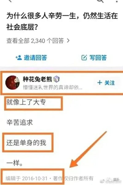 这是一张知乎问答的网页截图，页面顶部的问题是「为什么很多人辛劳一生，仍然生活在社会底层？」，用户「种花兔老熊」给出了一个自嘲式的回答：「就像上了大专，辛苦追求，还是单身的我一样。」，将自己学业和感情上的不顺与问题中的处境做类比，用个人经历调侃这个现实问题，带着无奈又好笑的自嘲感。截图中用橙色框标注了回答里的关键文字内容，橙色箭头指向回答的编辑时间2016-10-31，整体风格扎心又幽默。