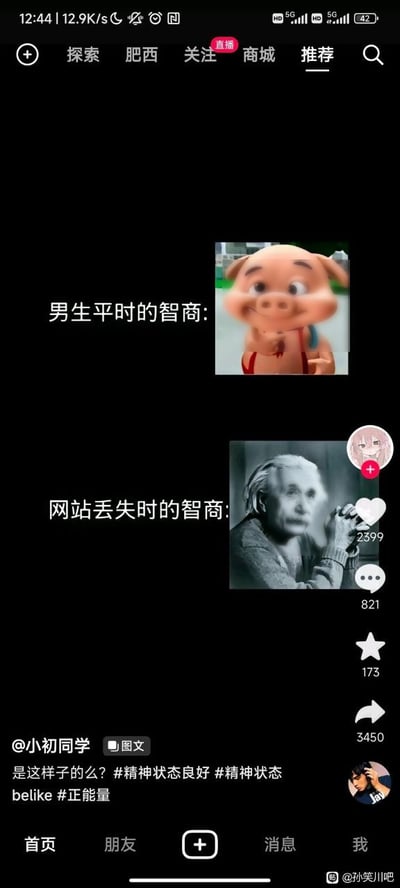 这是一张抖音平台的图文作品截图，为上下对比形式的搞笑梗图，整体为黑色背景。上半部分配文“男生平时的智商”，右侧搭配了一只表情呆傻的卡通小猪图片，用来指代男生平时智商不高的状态；下半部分配文“网站丢失时的智商”，右侧搭配了爱因斯坦双手交握、认真思索的黑白照片，用来调侃男生在自己常用的网站找不到的时候，智商就会飙升到极高的水平。界面右侧显示该作品获得2399点赞、821条评论、173次收藏、3450次转发，顶部是抖音的导航栏，底部是抖音的功能菜单栏，发布者配文询问“是这样子的么？”并附带了相关话题标签。