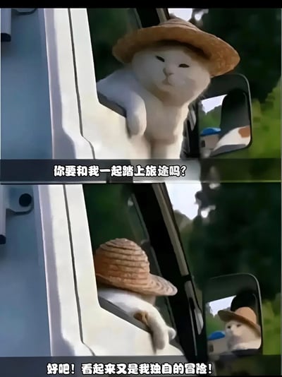 这是一张上下对比的双格梗图，展示了一只戴着草帽的白猫从车窗探出头的场景。上半部分中，白猫戴着草帽，前爪搭在车窗边缘，眼神期待地望向外面，配文"你要和我一起踏上旅途吗?"。下半部分中，白猫已经缩回车内，只剩下草帽还露在窗外，配文"好吧! 看起来又是我独自的冒险!"。通过前后对比形成了幽默又略带可爱的孤独感，展现了期待同行却只能独自上路的反差萌。
