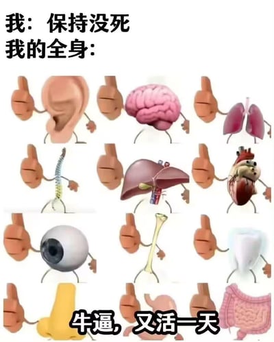 这是一张九宫格形式的图文混排梗图，上方文字为“我：保持没死 我的全身：”，下方展示了12个拟人化的人体器官（耳朵、大脑、肺、脊柱、肝脏、心脏、眼睛、骨骼、牙齿、鼻子、肠胃等），每个器官都被添加了小短手和脚，并且举着一个竖大拇指的手，底部配文“牛逼，又活一天”。该图用幽默自嘲的方式，调侃当代年轻人在疲惫的生活中，仅仅维持生存就已经用尽了力气，器官们都在为“又活一天”而“点赞”，精准戳中了大众“躺平式生存”的疲惫状态，图中无谐音梗或双关含义。
