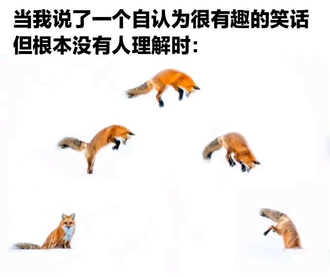 狐狸