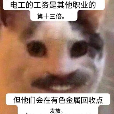 图片主体为一只被P上小胡子的猫，面部表情滑稽，带着狡黠的微笑。图片上方和下方各有一个白色对话框，上方文字为“电工的工资是其他职业的第十三倍。”，下方文字为“但他们会在有色金属回收点发放。”。通过夸张对比制造笑点，暗示电工所谓的“高工资”可能来源于非法回收有色金属，属于职场调侃类幽默梗图。