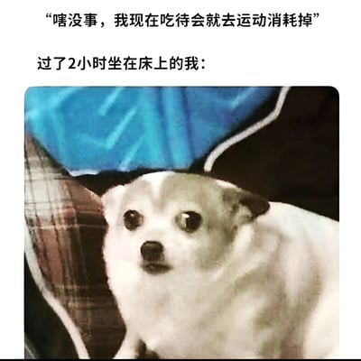 这张梗图用幽默的方式展现了很多人都有的经历：吃东西时告诉自己稍后会运动消耗热量，但实际上却没有兑现承诺。图片上方文字写着“嘻没事，我现在吃待会就去运动消耗掉”，下方接着是“过了2小时坐在床上的我：”，然后配上一张小狗迷茫地躺在床上的照片，生动表现了人们常有的自我安慰和最终的拖延行为。