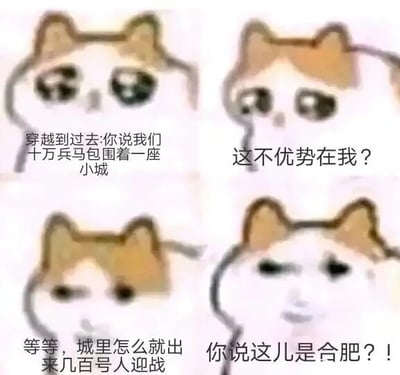 这是一张由悲伤小猫（mur猫）表情包改编的四格连环文字加注图，通过四格的表情和文字递进，讲述了一个穿越到过去的人以为自己率领十万兵马包围小城占据绝对优势，结果发现这座城是合肥，而三国合肥之战中张辽仅以八百人就击溃了孙权的十万大军，这种巨大的反差让原本自信的人瞬间崩溃。图中每一格的小猫表情对应不同的情绪：第一格带着期待憧憬的表情，对应得知己方兵力优势的心态；第二格自信得意，说出“这不优势在我？”的话语；第三格疑惑不解，疑惑为何小城只出来几百人迎战；第四格震惊崩溃，在得知此地是合肥后心态彻底反转，利用历史典故制造出强烈的搞笑反差效果。