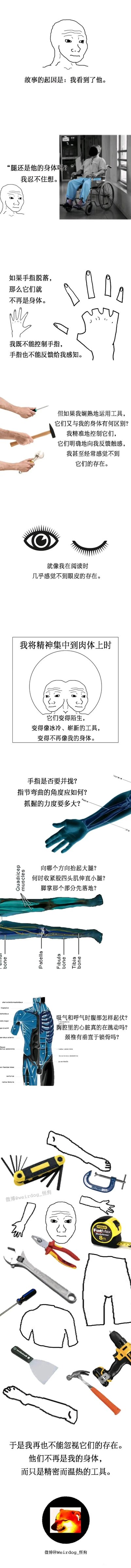 这是一组竖版的连环图文叙事内容，以一个原创的线条卡通人物作为第一人称叙事者，展开关于身体与工具边界的哲学思考。内容始于叙事者看到一位坐在轮椅上的残障人士，由此引发“失去控制的身体部件是否还属于自身”的疑问；接着通过“脱落的手指不再属于身体”的例子，对比“熟练使用的工具如同身体延伸”的体验，提出工具在精准控制和感知反馈下与身体无异的观点；随后叙事者转向对自身身体的关注，当刻意聚焦身体动作时，原本自然的动作变得陌生，需要刻意控制每一个细节；最终画面呈现身体与各类工具融合的形象，叙事者得出“身体也成为了被精准控制的工具”的结论，整体内容充满存在主义式的思辨，探讨了身体认知、工具延伸与自我存在的关系。