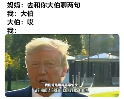 图片上方为一段家庭对话文本：妈妈让孩子去和大伯聊天，孩子叫了声'大伯'，大伯回应'哎'后，孩子却无言以对。下方是美国前总统唐纳德·特朗普的照片，他面带微笑，配文'我们算是聊得非常愉快 WE HAD A GREAT CONVERSATION.'，通过特朗普的夸张正面评价与实际尴尬的对话内容形成强烈反差，制造幽默效果，调侃了社交中无话可说却假装聊得很好的尴尬场景。