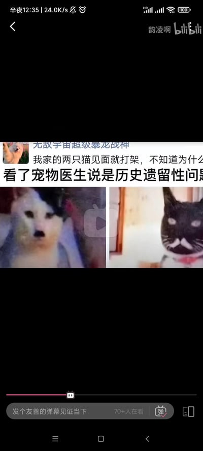 这是一张无厘头搞笑梗图，模拟社交平台用户提问的形式：用户「无敌宇宙超级暴龙战神」称自家两只猫见面就打架，咨询宠物医生后得到「历史遗留性问题」的回复。下方左右对比图使用了两张知名的网络猫表情包：左侧是有着中分毛发的疑惑脸猫，右侧是表情愤怒不爽的黑白脸猫。梗点在于用严肃的官方话术来形容猫咪打架的日常小事，制造反差感，用「历史遗留性问题」暗示两只猫仿佛有积怨已久的矛盾，达到搞笑效果。