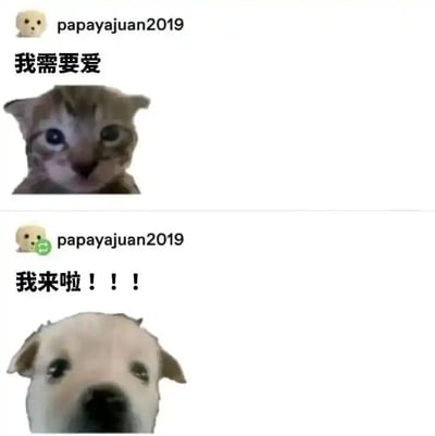 这是一张由两张社交平台动态拼接而成的连环图，内容均出自用户papayajuan2019之手。第一张图展示了一只耳朵耷拉、眼神委屈的小猫，搭配配文“我需要爱”，传递出渴望被关怀、被爱的柔软情绪；第二张图则是一只眼睛亮晶晶、看起来十分热情的小狗，配文“我来啦！！！”，以充满活力的姿态回应了小猫的诉求。用户通过自导自演两条动态的方式，打造出一场温馨又搞笑的跨图互动，用可爱的动物形象和直白的文字，营造出治愈又有趣的氛围，很容易引发观者的喜爱与共鸣。